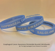 Esophageal Cancer Awareness Wristbands Bracelets Wristband Bracelet The Salgi Esophageal Cancer Research Foundation Periwinkle AllPeriwinkleEverything Esophageal Cancer Awareness Wristbands Bracelets Wristband Bracelet The Salgi Esophageal Cancer Research Foundation Periwinkle AllPeriwinkleEverything